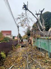 Спил дерева, услуги садовника, демонтаж работы, земляные работы в ручную Одеса